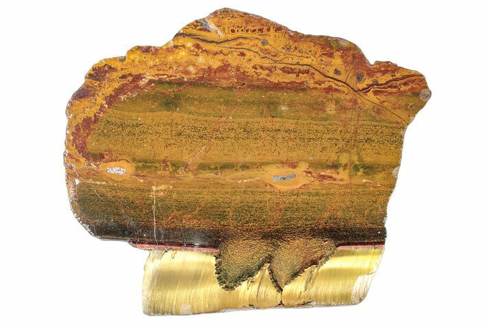 Polished Packsaddle Tiger Eye Slab - Western Australia #290957